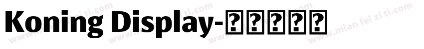 Koning Display字体转换